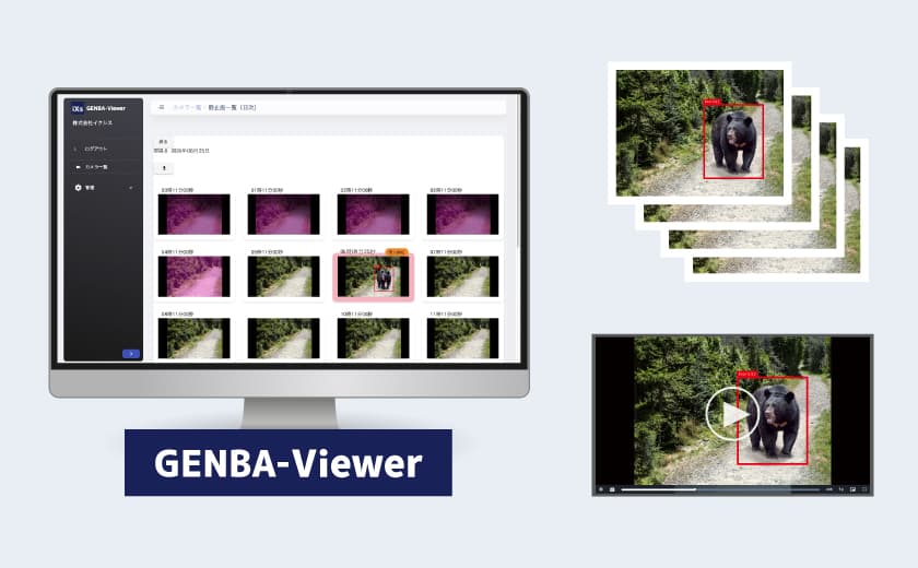 クマの検知画像や動画を確認できるビューワー画面