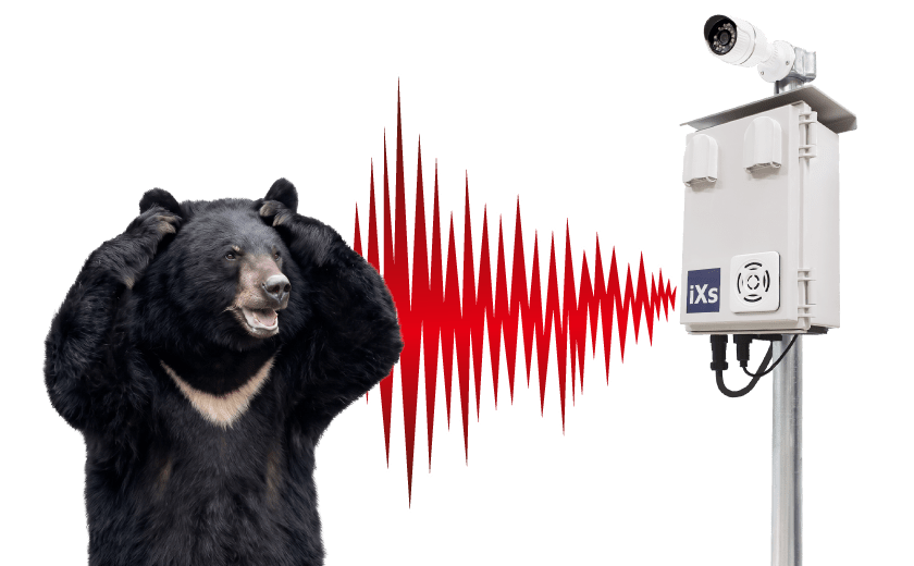 威嚇音によるクマ対策イメージ
