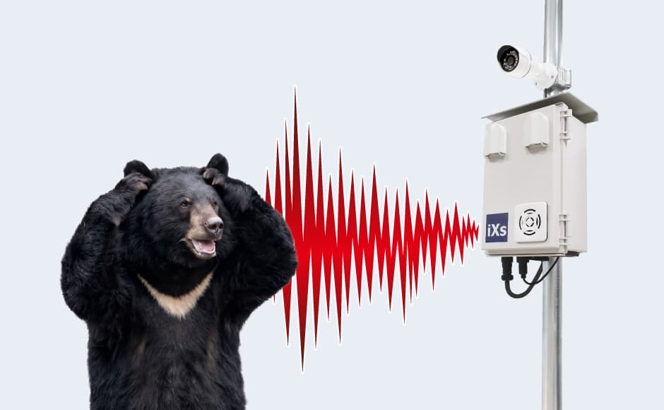 大音量の威嚇音によるクマ対策