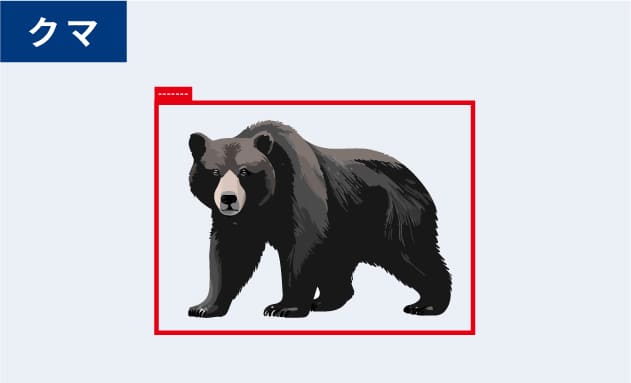 クマ検知