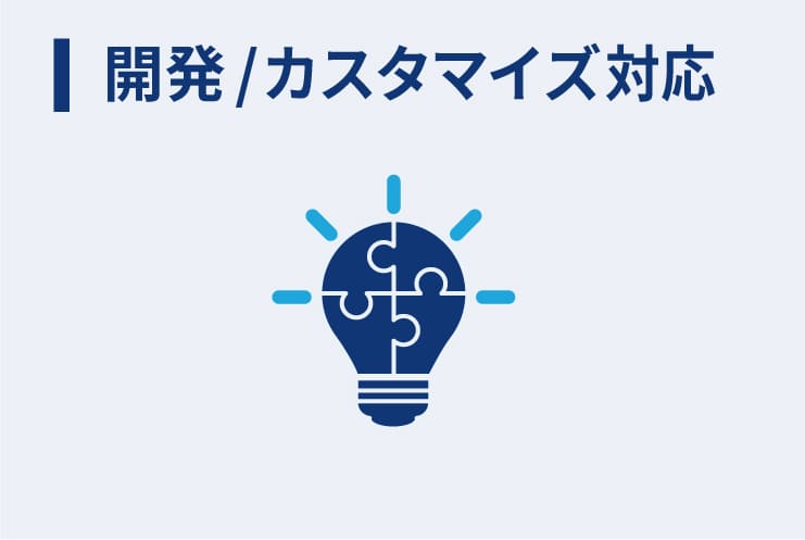 開発/カスタマイズ対応